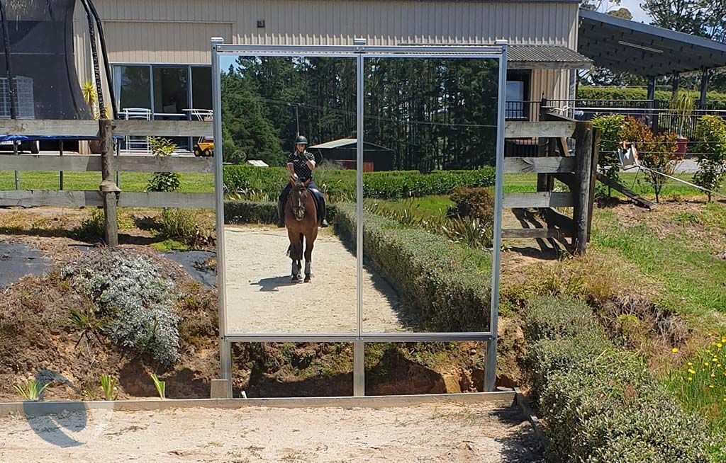 Equine Arena Mirror